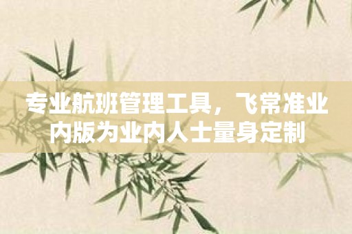 专业航班管理工具，飞常准业内版为业内人士量身定制