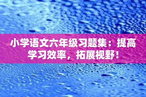 小学语文六年级习题集：提高学习效率，拓展视野！