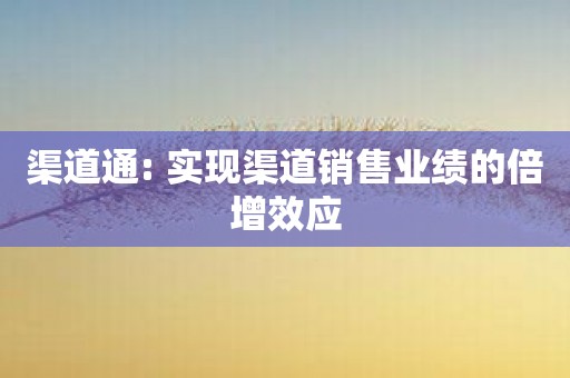 渠道通: 实现渠道销售业绩的倍增效应