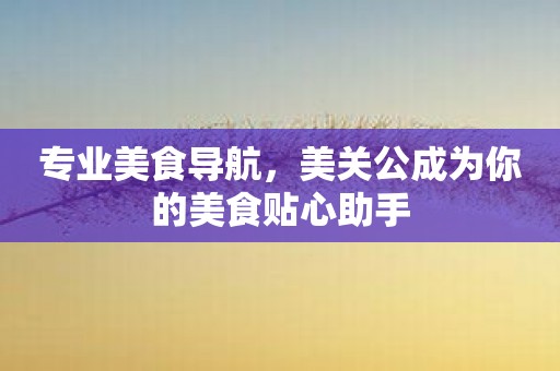 专业美食导航，美关公成为你的美食贴心助手