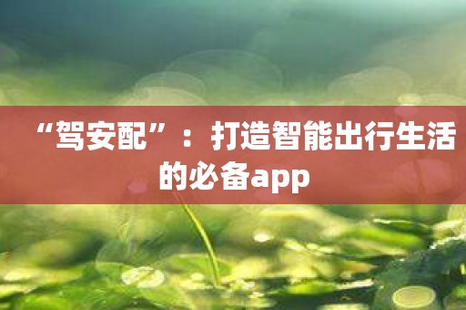 “驾安配”：打造智能出行生活的必备app