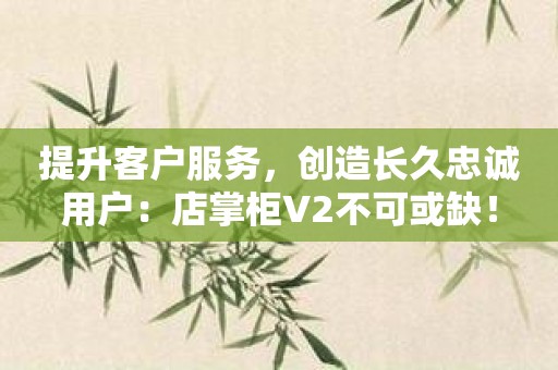 提升客户服务，创造长久忠诚用户：店掌柜V2不可或缺！