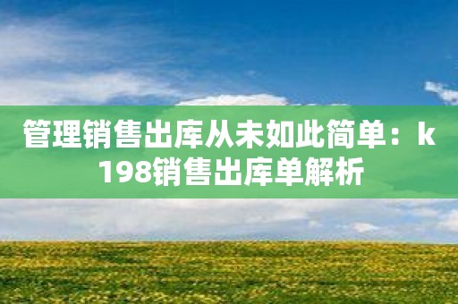 管理销售出库从未如此简单：k198销售出库单解析