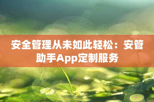 安全管理从未如此轻松：安管助手App定制服务