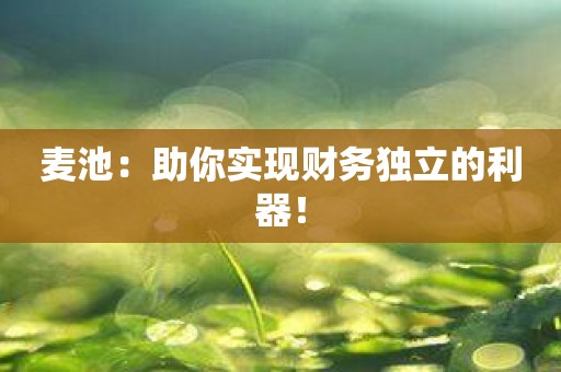 麦池：助你实现财务独立的利器！