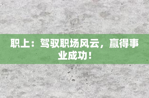 职上：驾驭职场风云，赢得事业成功！