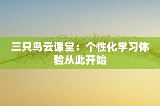 三只鸟云课堂：个性化学习体验从此开始