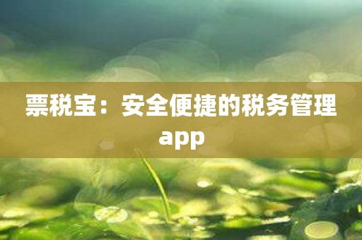 票税宝：安全便捷的税务管理app