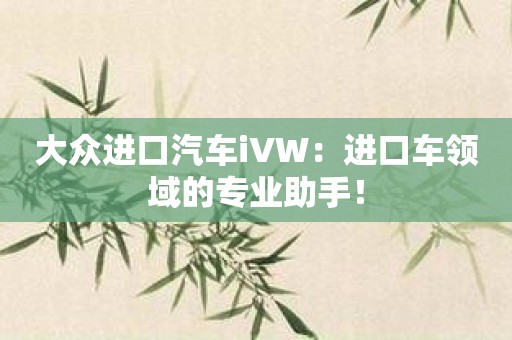 大众进口汽车iVW：进口车领域的专业助手！