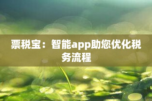 票税宝：智能app助您优化税务流程