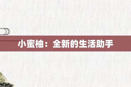 小蜜柚：全新的生活助手