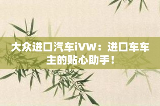 大众进口汽车iVW：进口车车主的贴心助手！