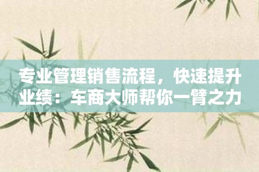 专业管理销售流程，快速提升业绩：车商大师帮你一臂之力