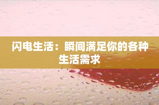 闪电生活：瞬间满足你的各种生活需求