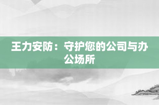 王力安防：守护您的公司与办公场所