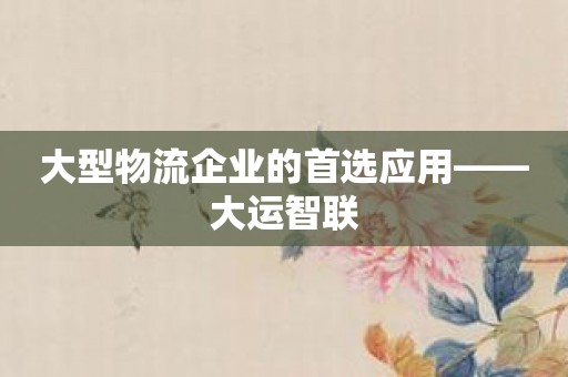 大型物流企业的首选应用——大运智联