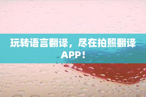 玩转语言翻译，尽在拍照翻译APP！