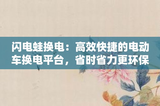 闪电蛙换电：高效快捷的电动车换电平台，省时省力更环保！