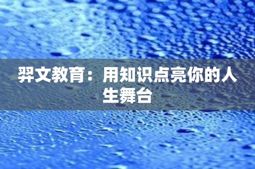 羿文教育：用知识点亮你的人生舞台