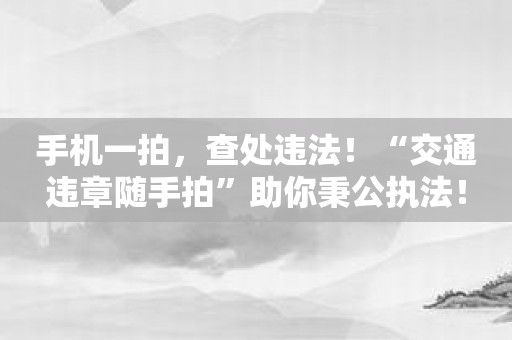 手机一拍，查处违法！“交通违章随手拍”助你秉公执法！