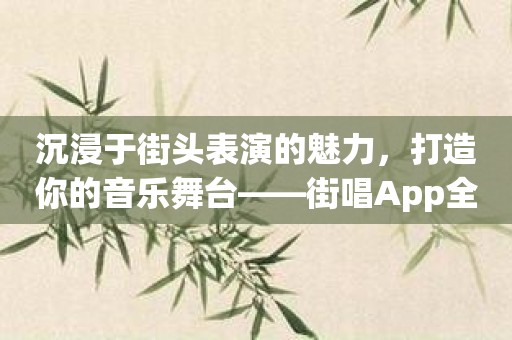 沉浸于街头表演的魅力，打造你的音乐舞台——街唱App全部功能揭秘