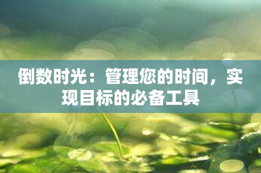 倒数时光：管理您的时间，实现目标的必备工具