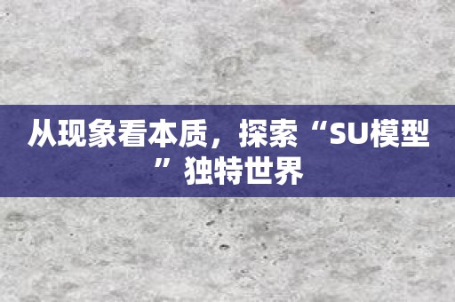 从现象看本质，探索“SU模型”独特世界