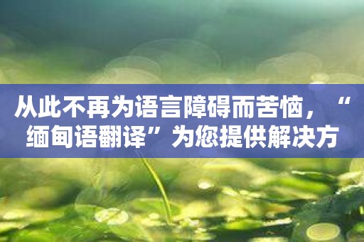 从此不再为语言障碍而苦恼，“缅甸语翻译”为您提供解决方案！