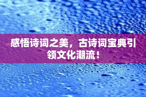 感悟诗词之美，古诗词宝典引领文化潮流！