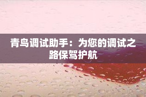 青鸟调试助手：为您的调试之路保驾护航