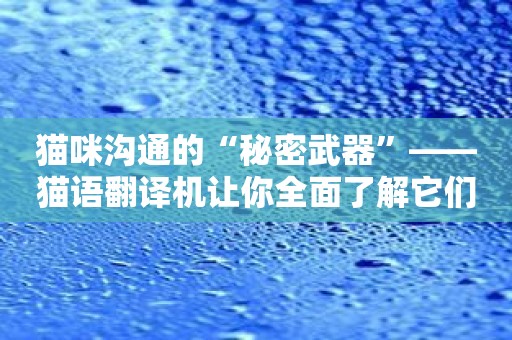 猫咪沟通的“秘密武器”——猫语翻译机让你全面了解它们。