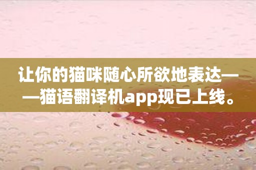 让你的猫咪随心所欲地表达——猫语翻译机app现已上线。