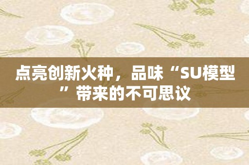 点亮创新火种，品味“SU模型”带来的不可思议