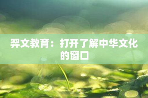 羿文教育：打开了解中华文化的窗口