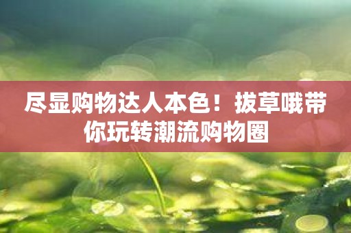 尽显购物达人本色！拔草哦带你玩转潮流购物圈