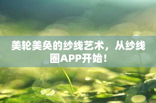 美轮美奂的纱线艺术，从纱线圈APP开始！