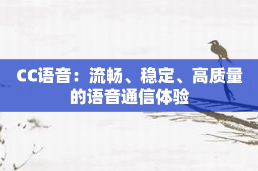 CC语音：流畅、稳定、高质量的语音通信体验