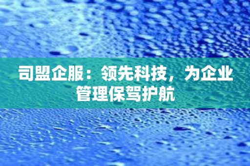 司盟企服：领先科技，为企业管理保驾护航