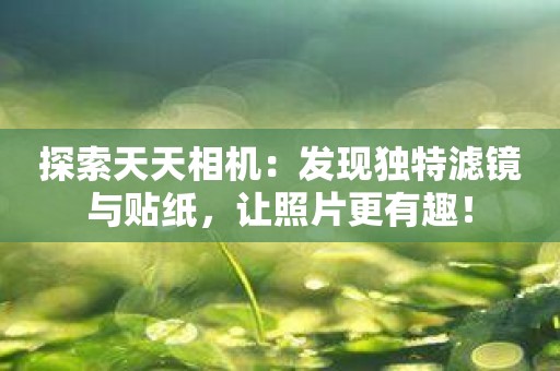 探索天天相机：发现独特滤镜与贴纸，让照片更有趣！