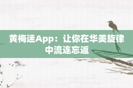 黄梅迷App：让你在华美旋律中流连忘返