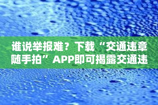 谁说举报难？下载“交通违章随手拍”APP即可揭露交通违法！