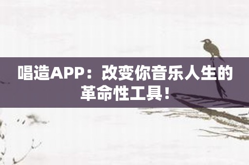 唱造APP：改变你音乐人生的革命性工具！