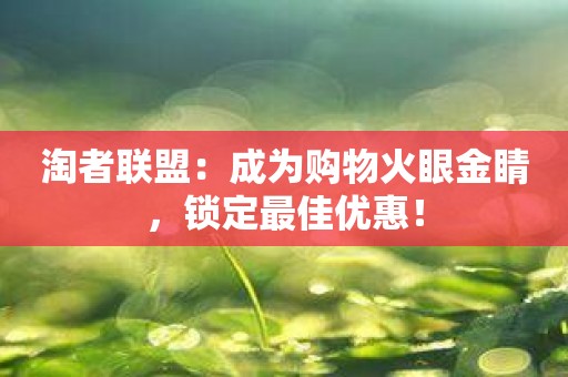 淘者联盟：成为购物火眼金睛，锁定最佳优惠！