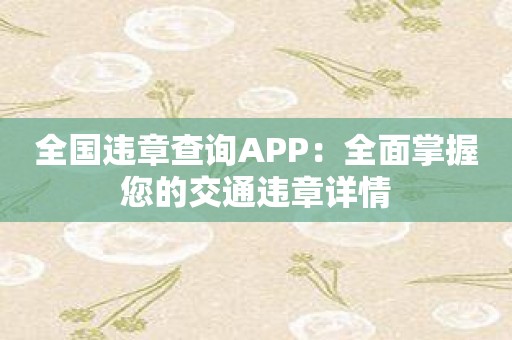 全国违章查询APP：全面掌握您的交通违章详情