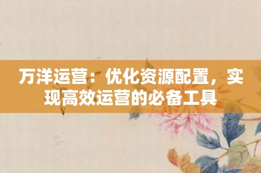 万洋运营：优化资源配置，实现高效运营的必备工具