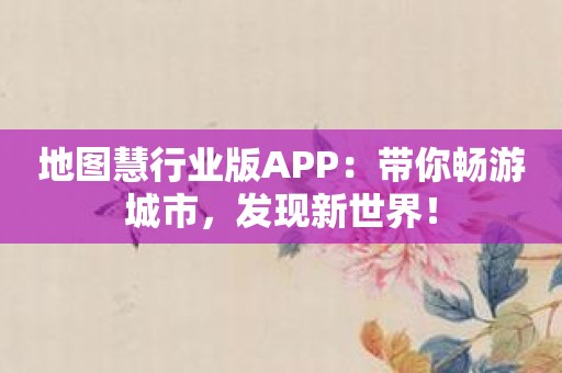 地图慧行业版APP：带你畅游城市，发现新世界！