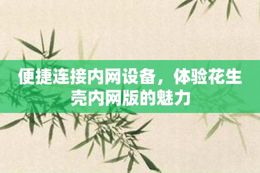 便捷连接内网设备，体验花生壳内网版的魅力