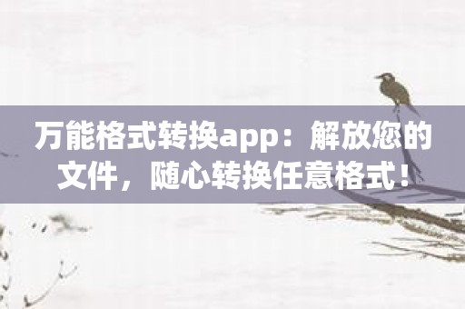 万能格式转换app：解放您的文件，随心转换任意格式！