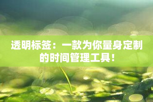 透明标签：一款为你量身定制的时间管理工具！