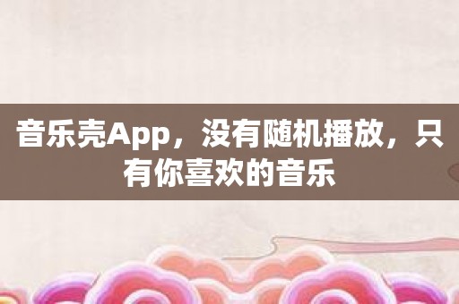 音乐壳App，没有随机播放，只有你喜欢的音乐